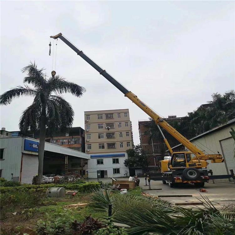 三乡镇树木移栽装卸